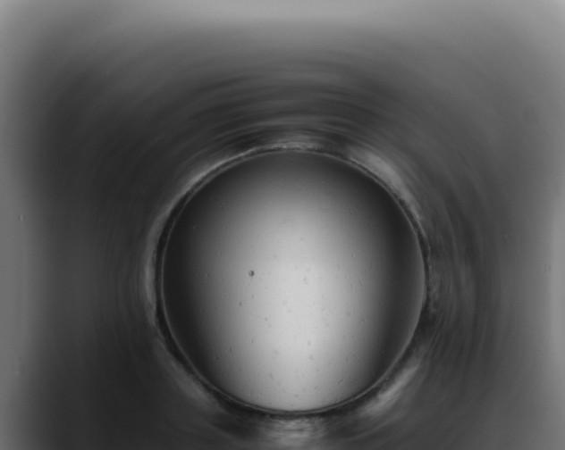 X0000088400843200705291427