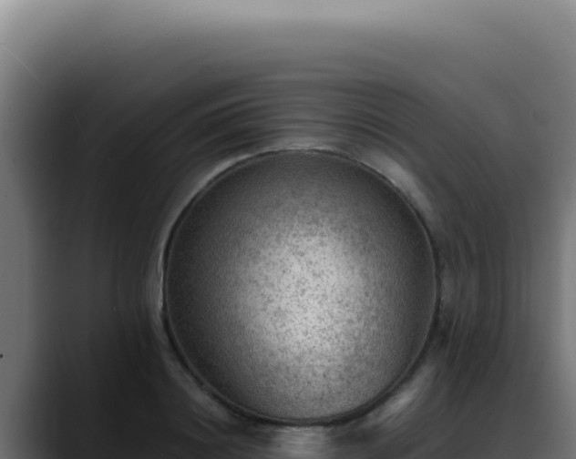 X0000088400844200705291427