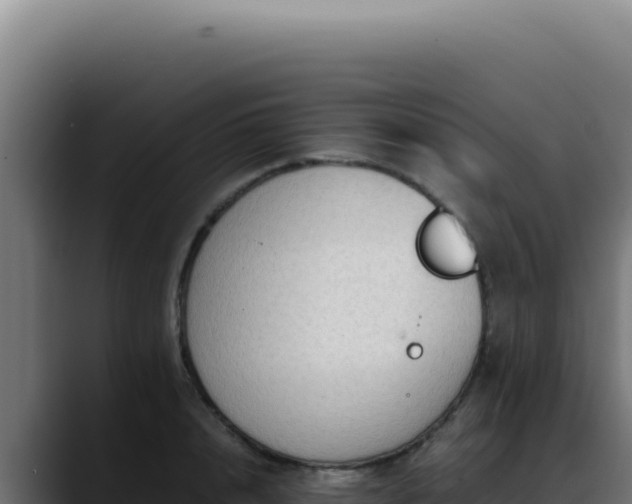 X0000088400848200705291427