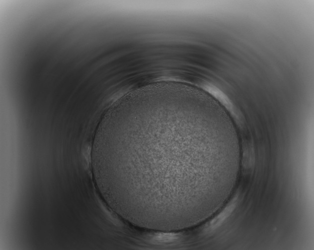 X0000088400849200705291427