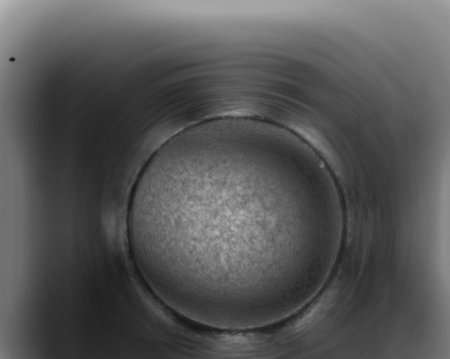 X0000088400850200705291427