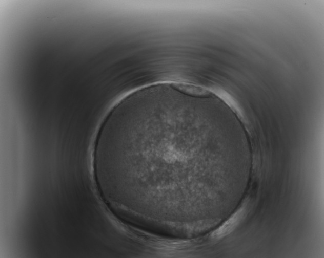 X0000088400854200705291427