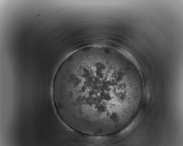 X0000088400855200705291427