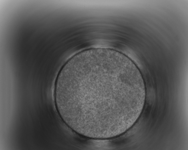 X0000088400856200705291427