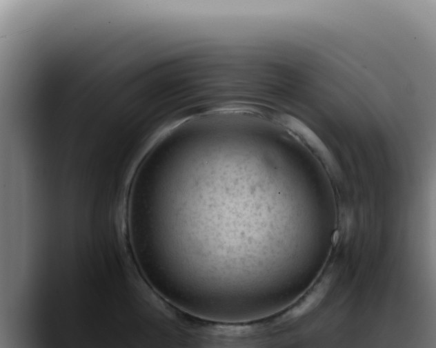 X0000088400860200705291427