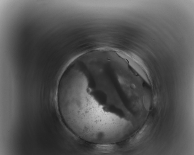 X0000088400863200705291427