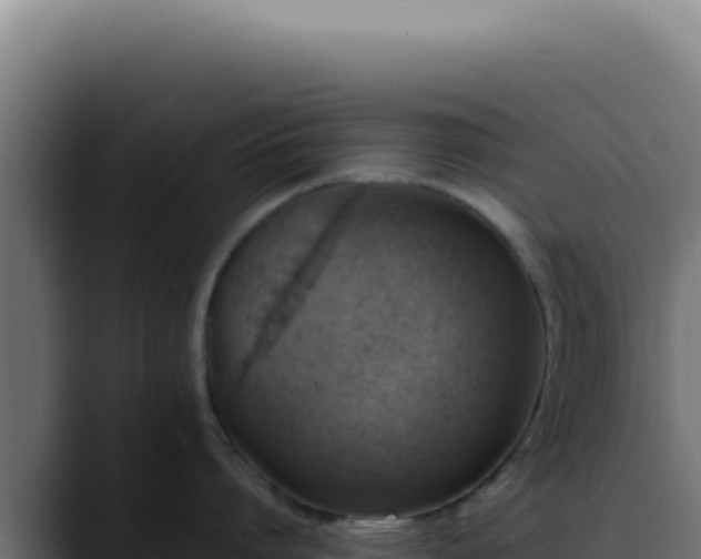 X0000088400864200705291427