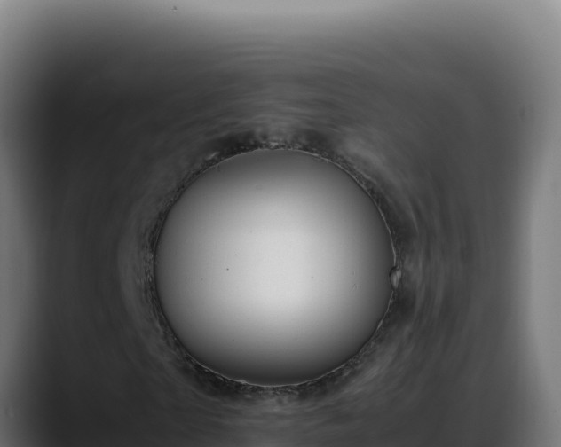 X0000088400865200705291427