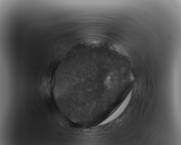 X0000088400868200705291427