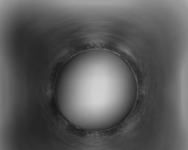 X0000088400869200705291427