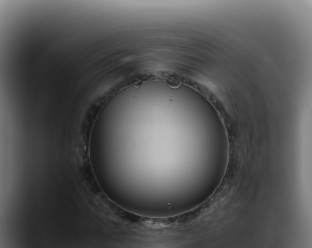 X0000088400871200705291427