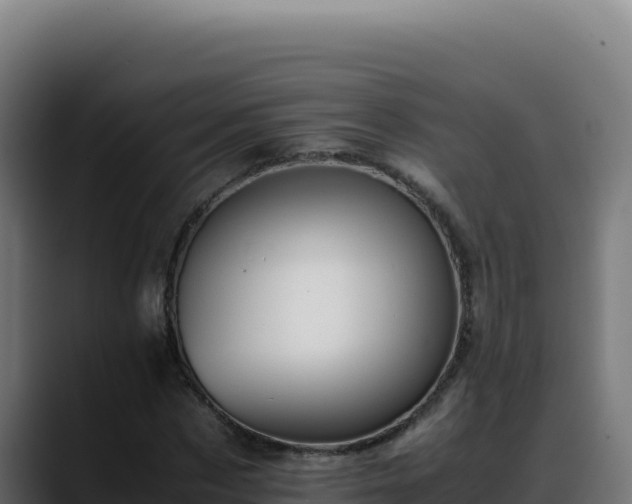 X0000088400873200705291427