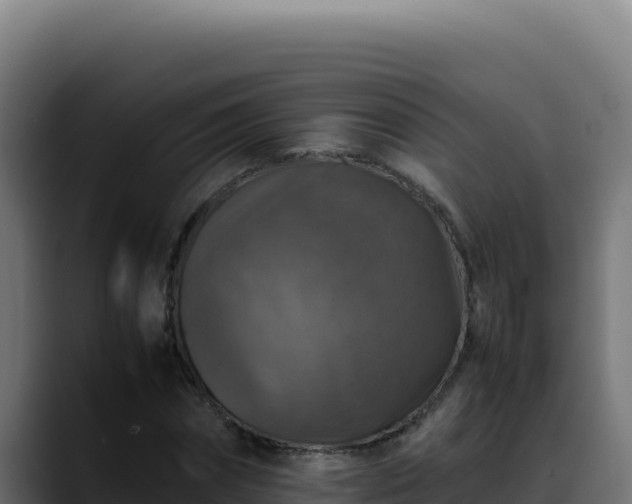 X0000088400874200705291427