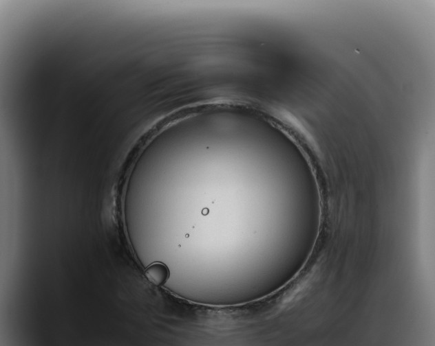 X0000088400875200705291427