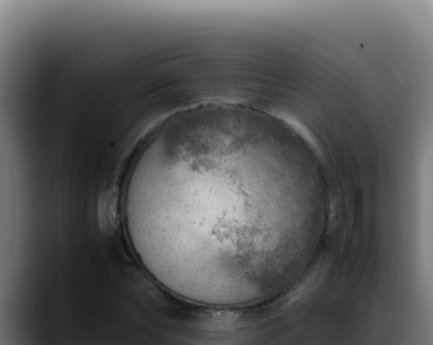 X0000088400878200705291427