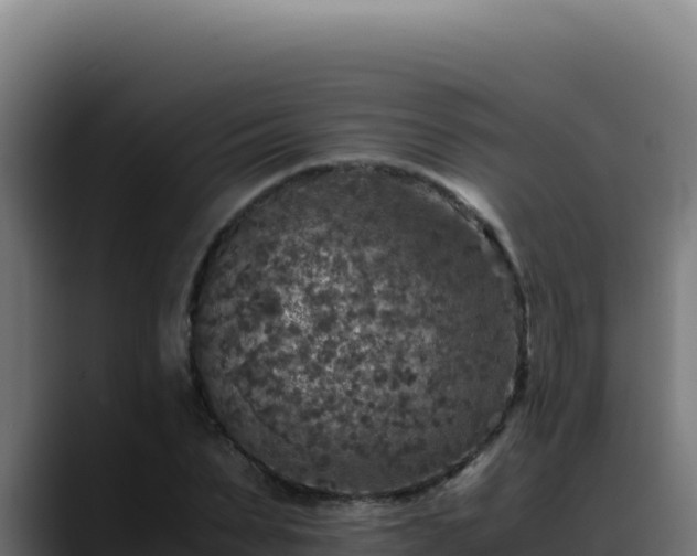 X0000088400879200705291427