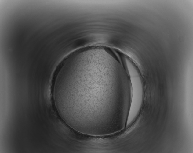 X0000088400880200705291427