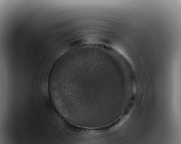 X0000088400881200705291427