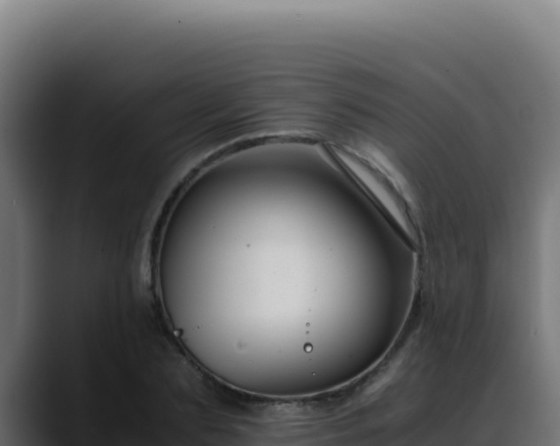 X0000088400883200705291426