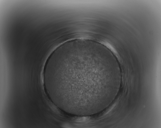 X0000088400891200705291426