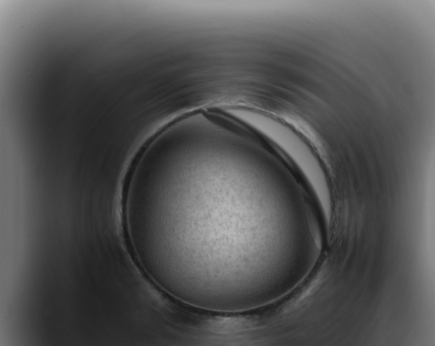 X0000088400894200705291426