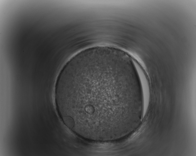 X0000088400895200705291426