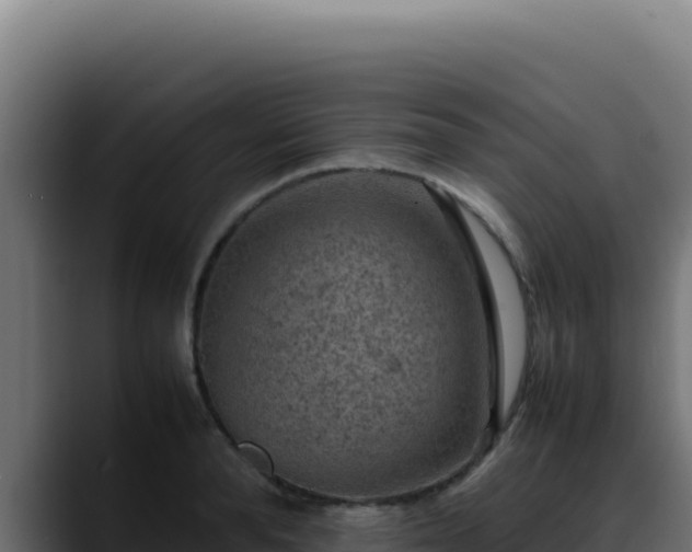 X0000088400896200705291426