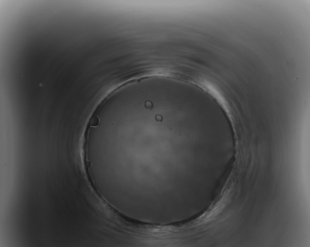 X0000088400899200705291426