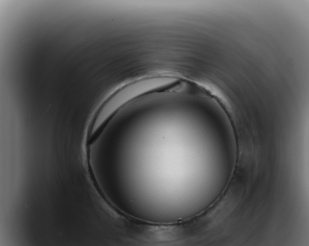 X0000088400902200705291426