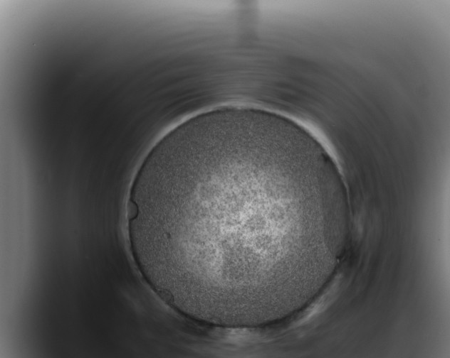 X0000088400903200705291426