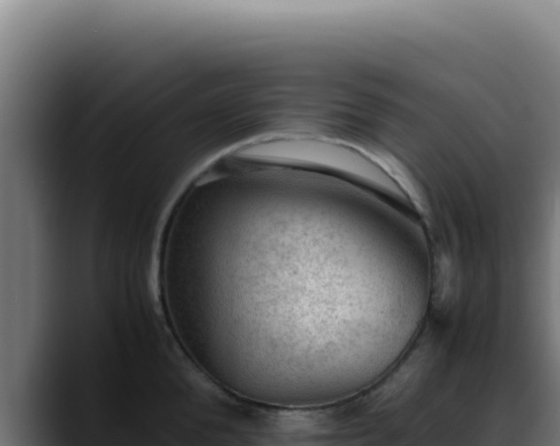 X0000088400904200705291426