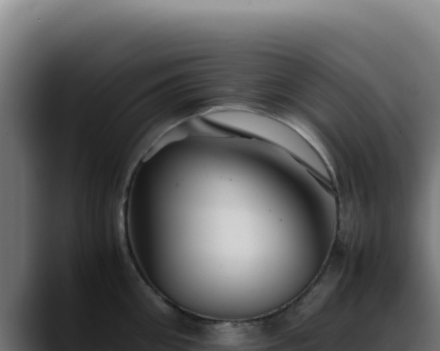 X0000088400906200705291426