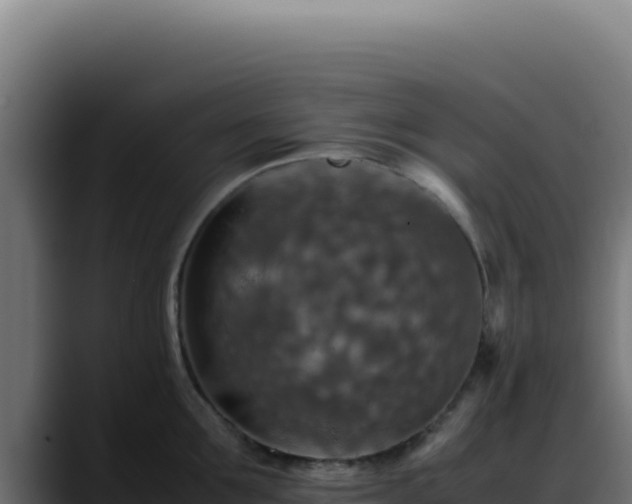 X0000088400907200705291426