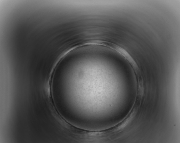 X0000088400908200705291426