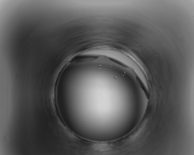 X0000088400909200705291426