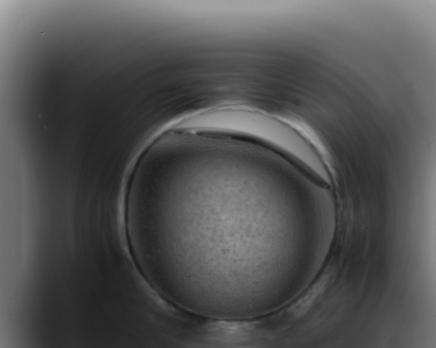 X0000088400910200705291426