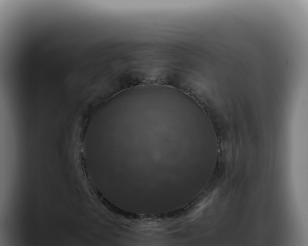 X0000088400913200705291425