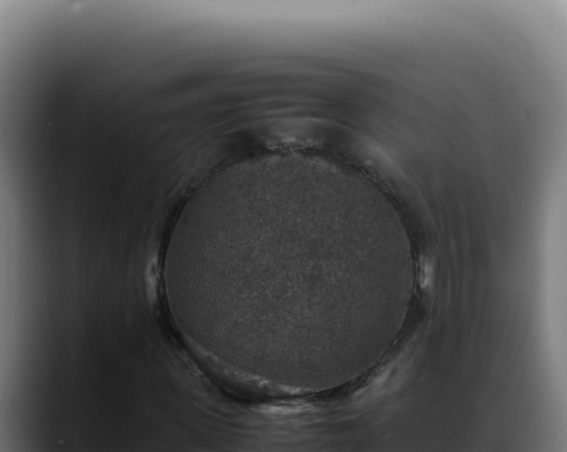 X0000088400915200705291426