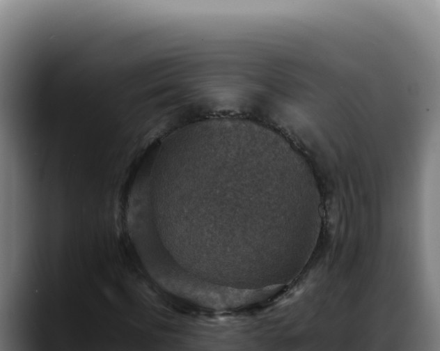 X0000088400916200705291426