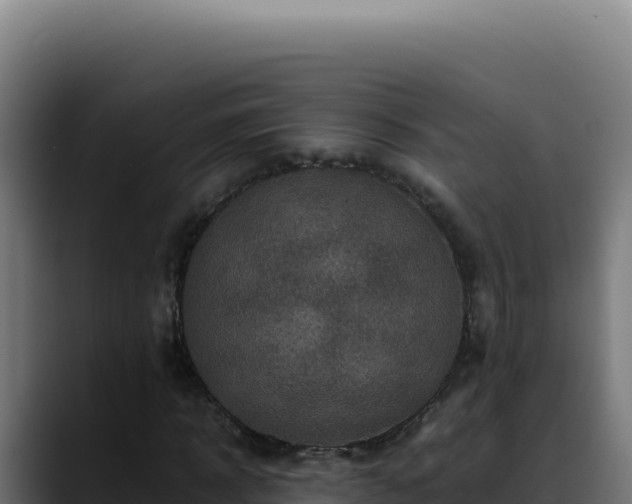 X0000088400918200705291426