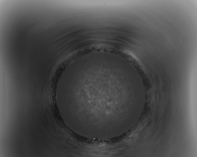 X0000088400919200705291426