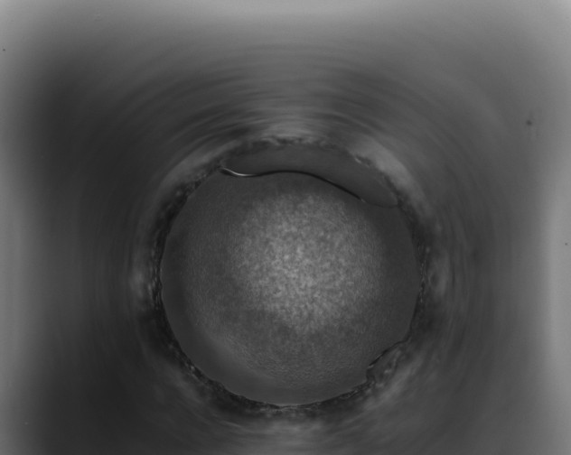 X0000088400920200705291426