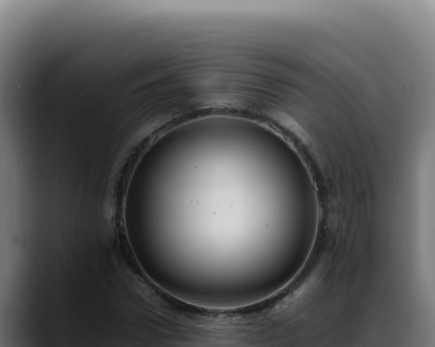 X0000088400922200705291426