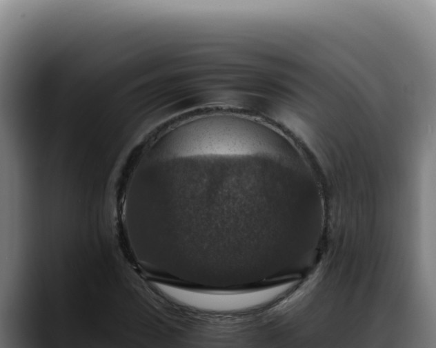 X0000088400923200705291426