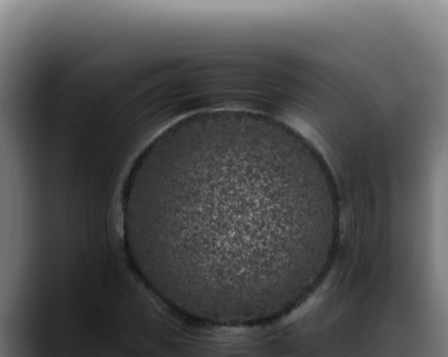 X0000088400925200705291426