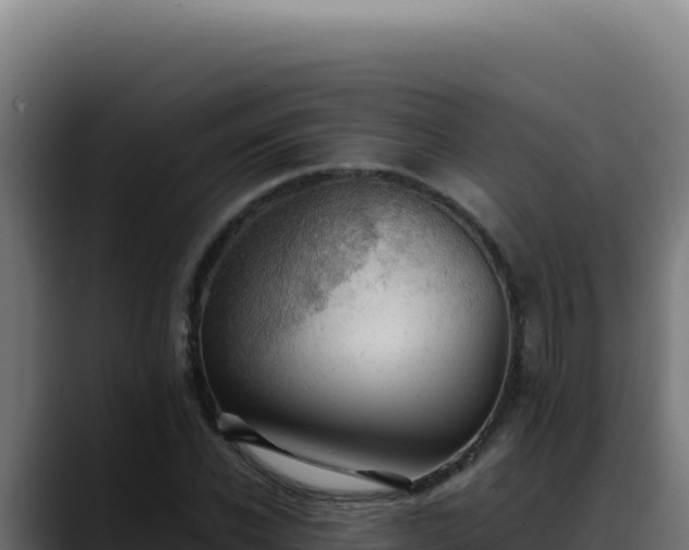 X0000088400926200705291426