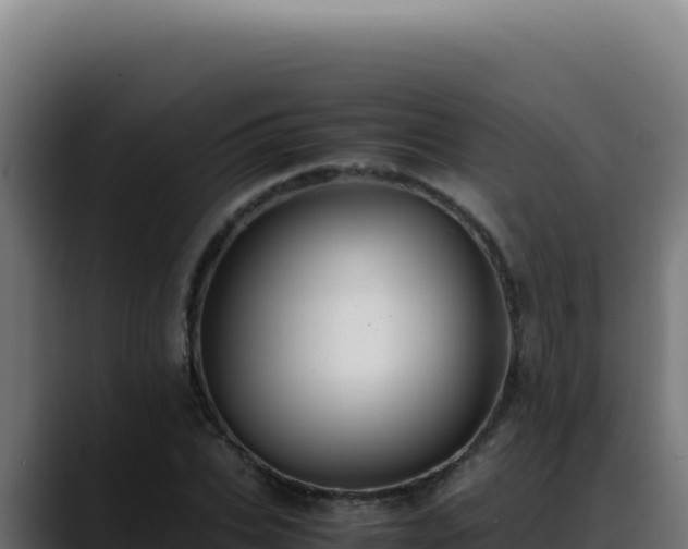 X0000088400927200705291426