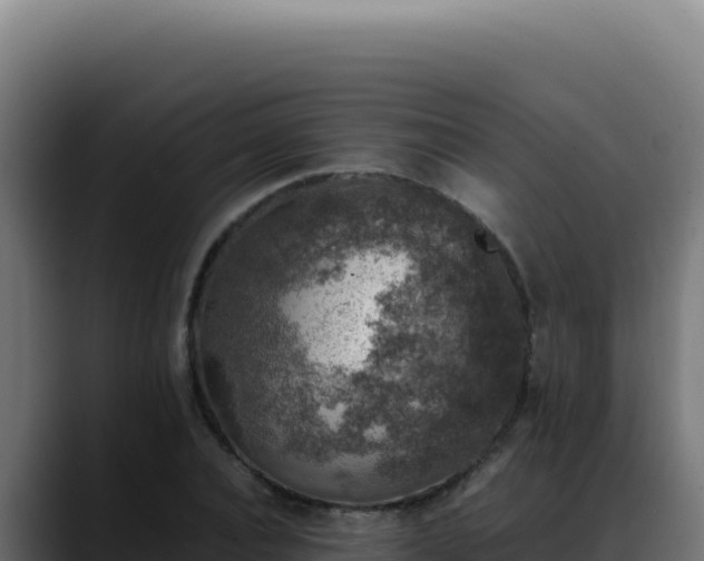 X0000088400928200705291426