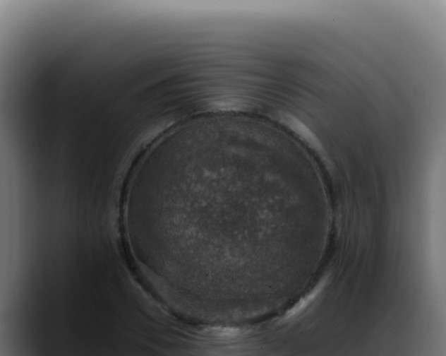 X0000088400930200705291426