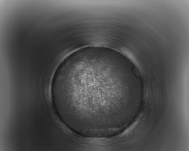 X0000088400932200705291426